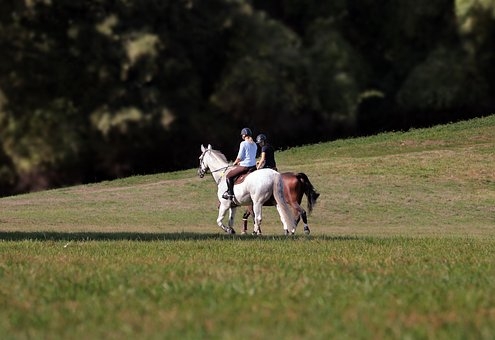 Reiterin auf einem Feld