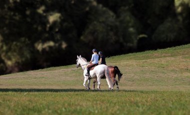 Zwei Reiterinnen auf einem Feld