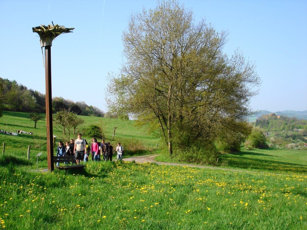 Ars Natura - Schulausflug am Wanderweg