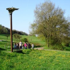 Ars Natura - Schulausflug am Wanderweg