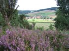 Vockenröder Heide im Frühling