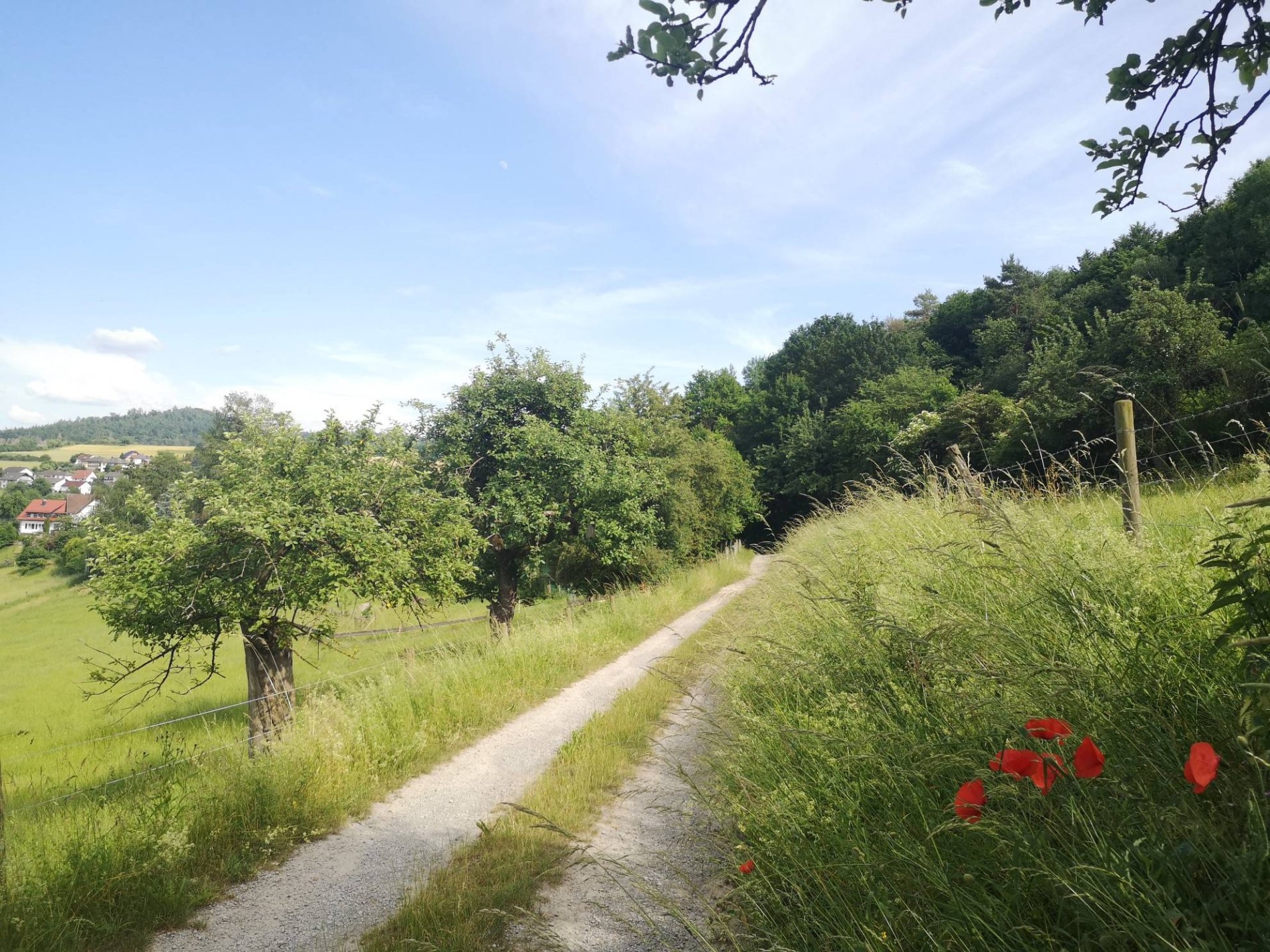 Entlang der Bergheimer Eselsrunde